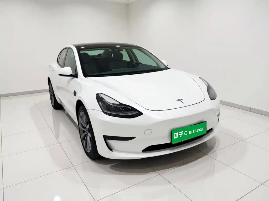 Tesla Model 3 — миниатюра 3