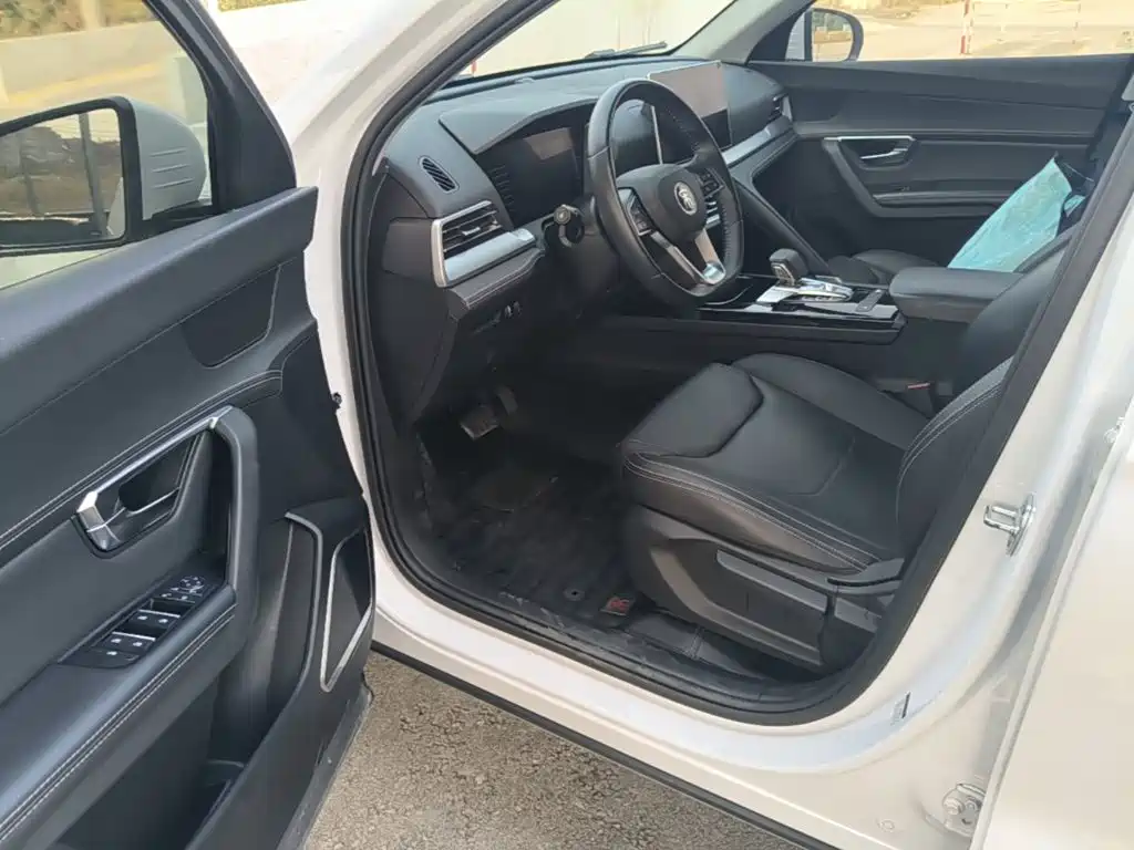 BYD Pro — миниатюра 16