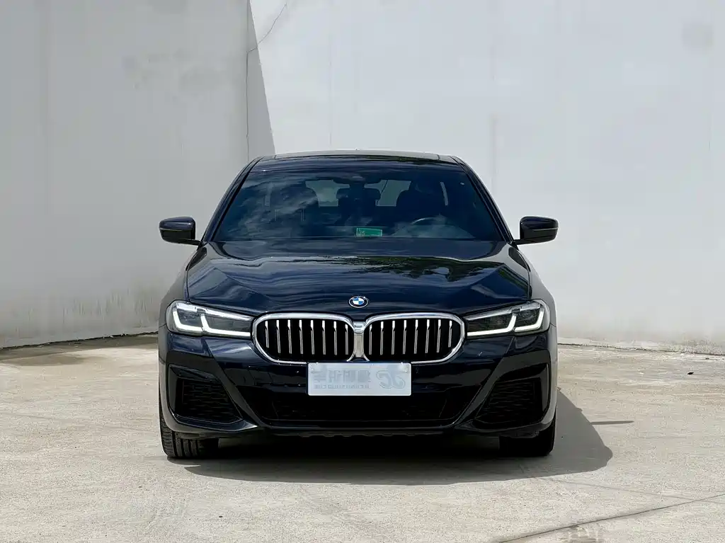 BMW 5 Series — миниатюра 2