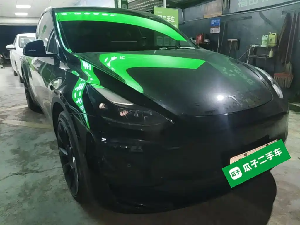 Tesla Model Y — миниатюра 4