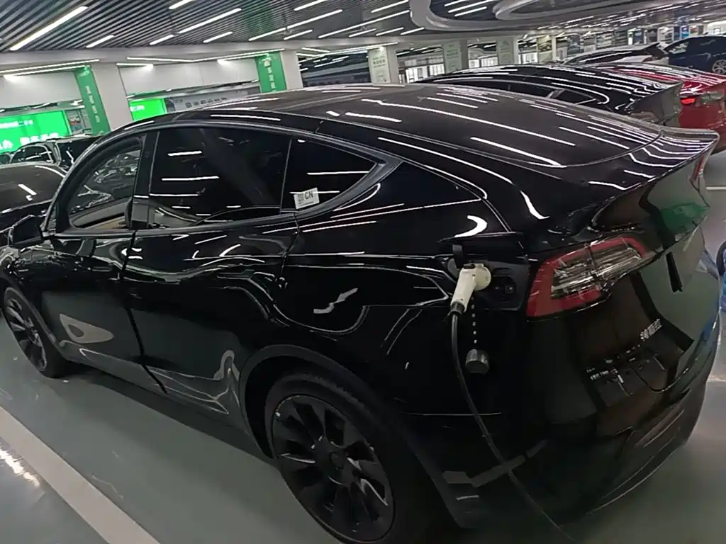 Tesla Model Y — миниатюра 5