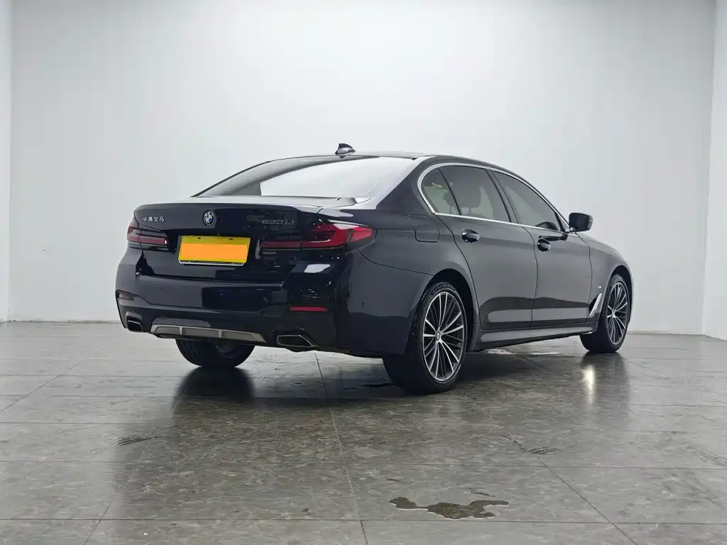 BMW 5 Series — миниатюра 3