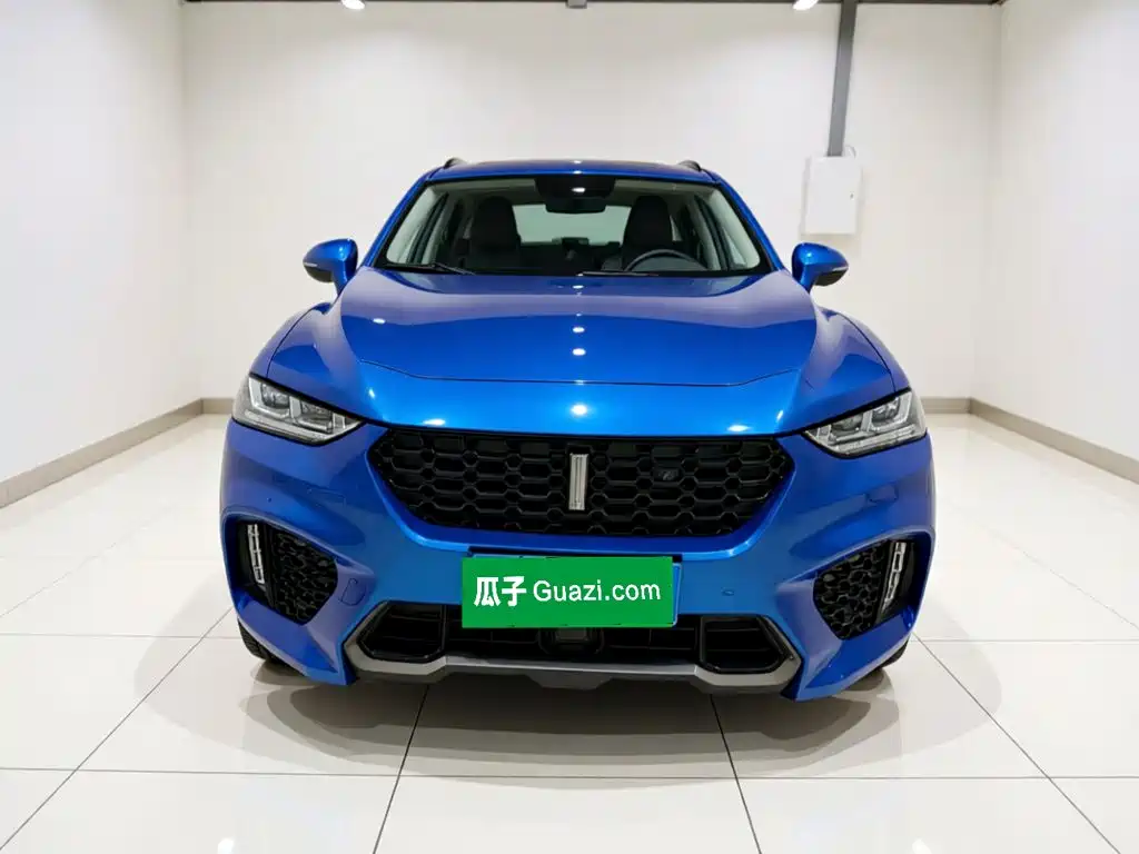 Wey Wey VV7 — миниатюра 2