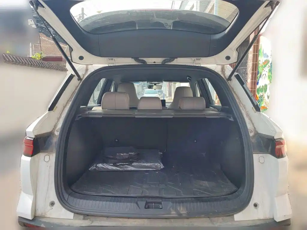 BYD Pro New Energy — миниатюра 20