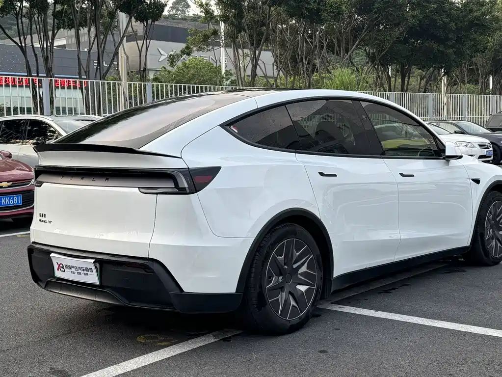 Tesla Model Y L — миниатюра 9