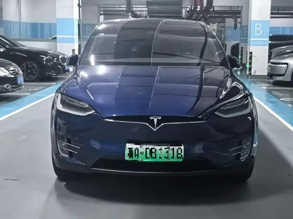 Tesla Model X — миниатюра 2