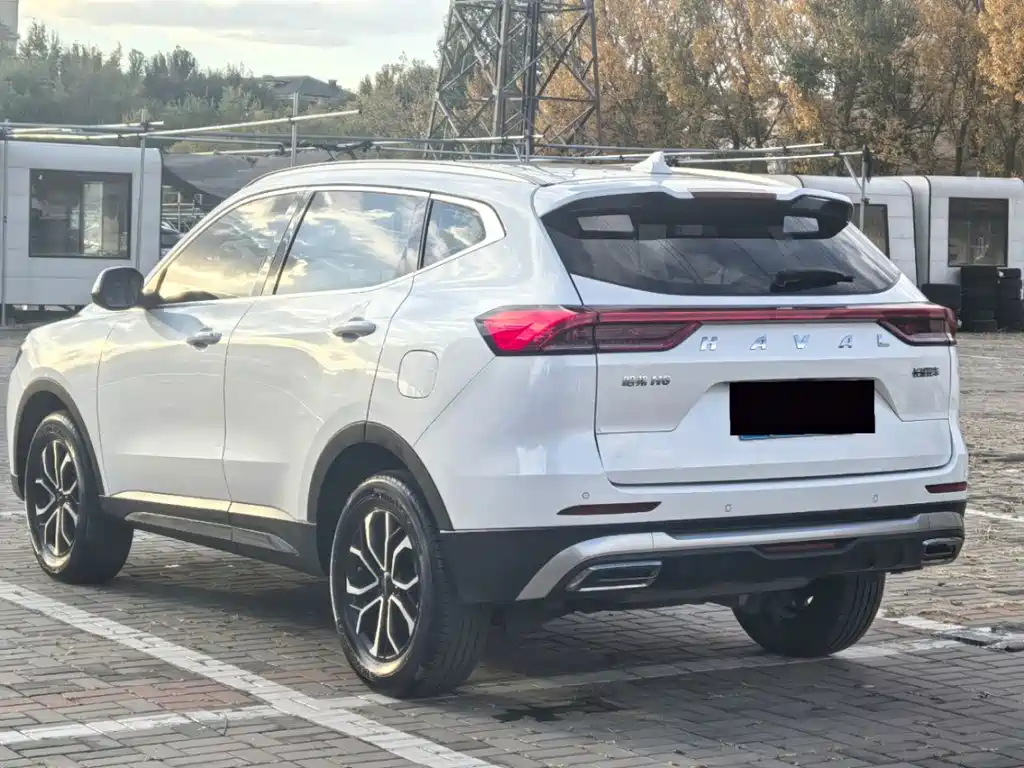 Haval H6 — миниатюра 7