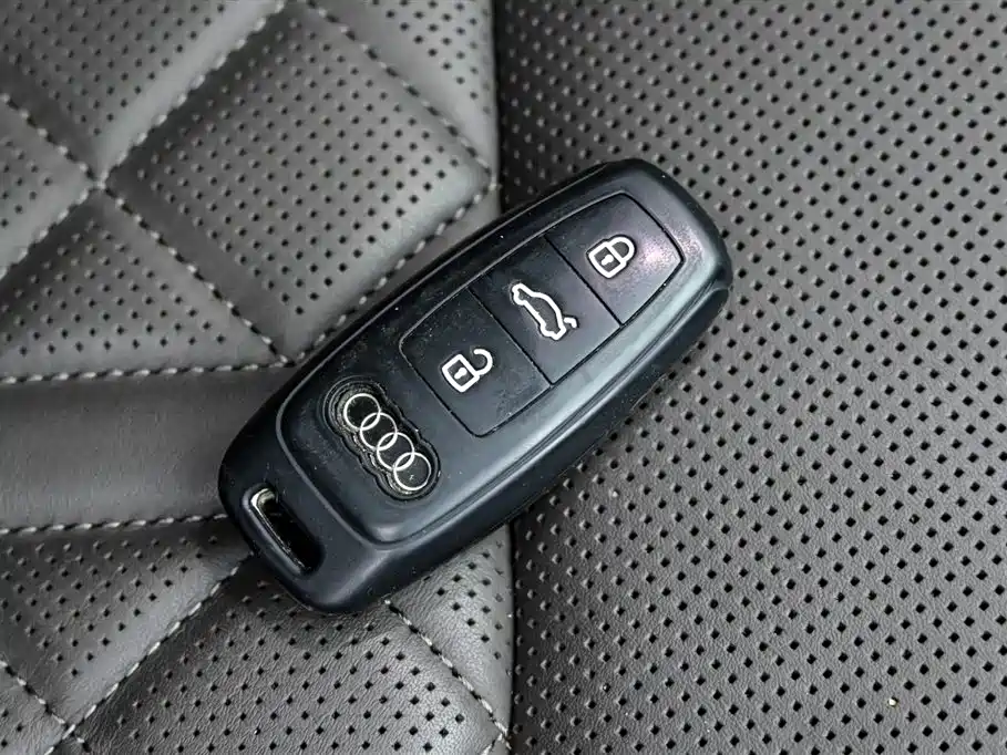 Audi A8 New Energy A8L 60 TFSIe quattro Collection Edition, фото 39