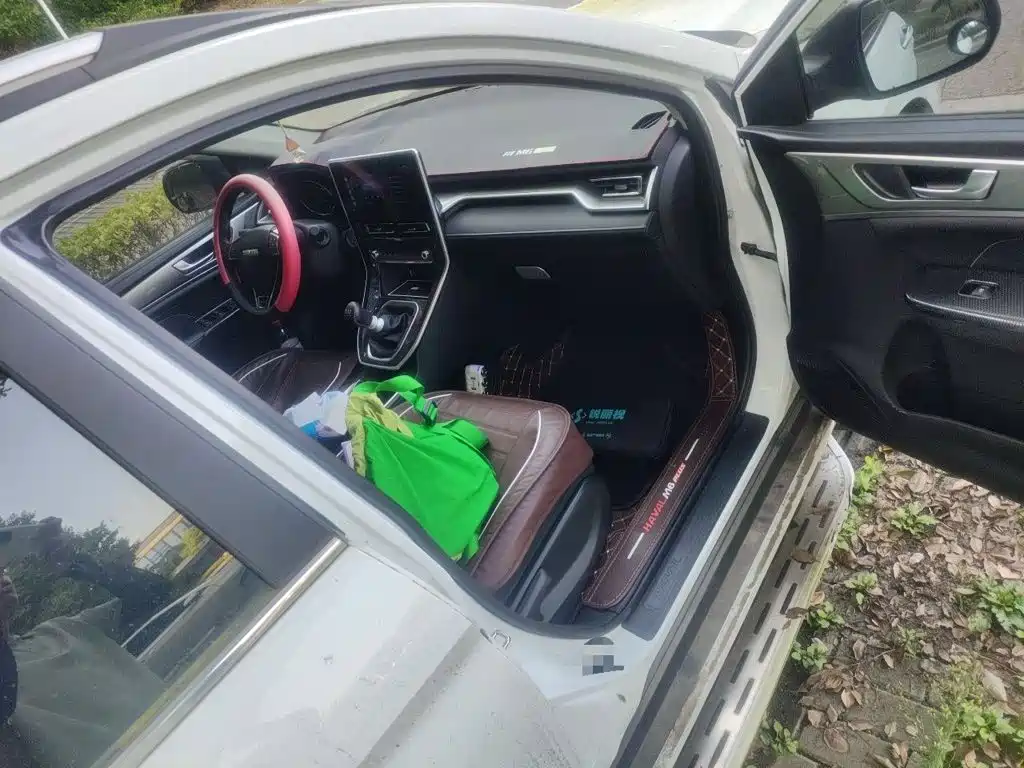 Haval M6 — миниатюра 19