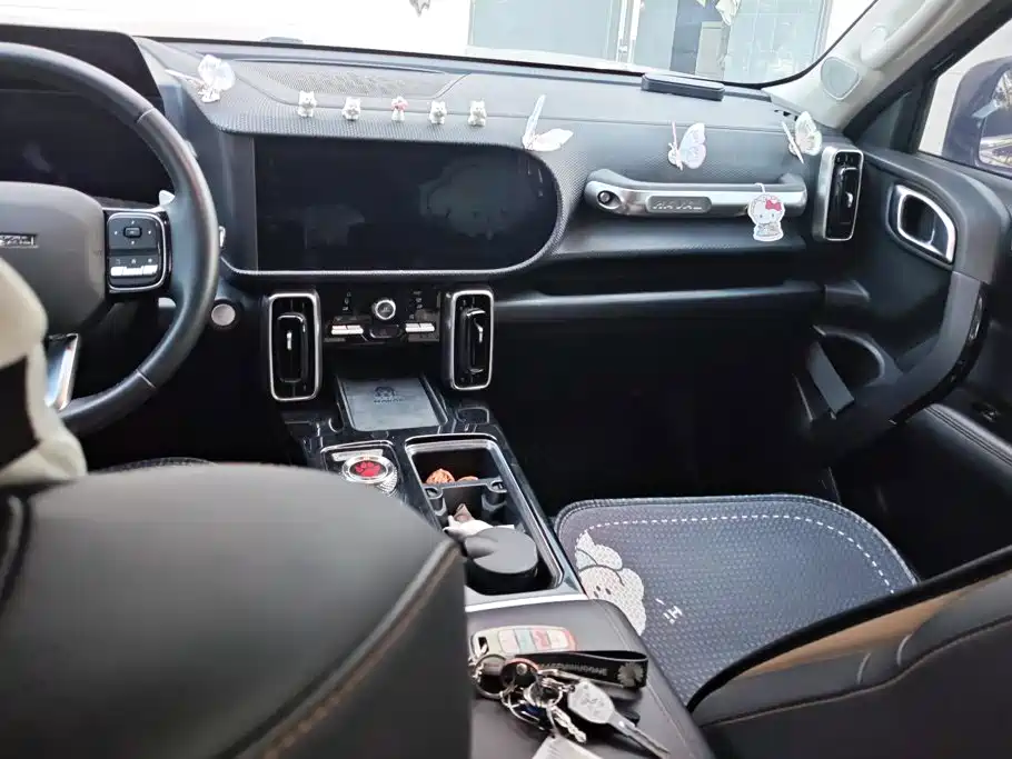 Haval Big Dog — миниатюра 16
