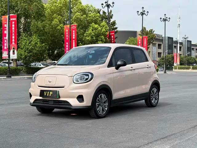 2021 Leapmotor T03