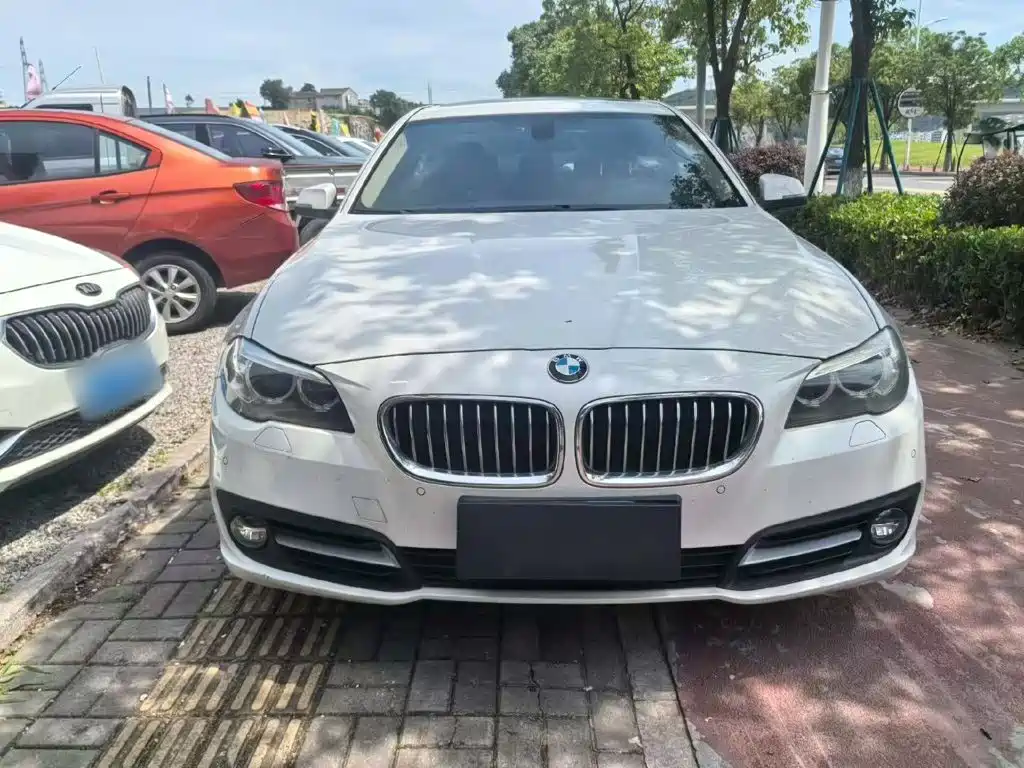 BMW 5 Series 5 2014 525Li Lead
