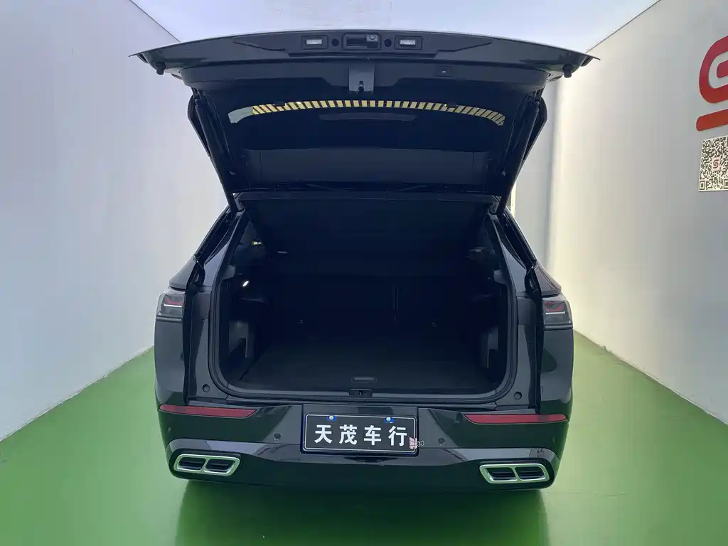 Volkswagen Tavendor — миниатюра 11