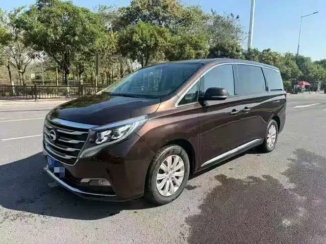 2018 GAC Trumpchi M8