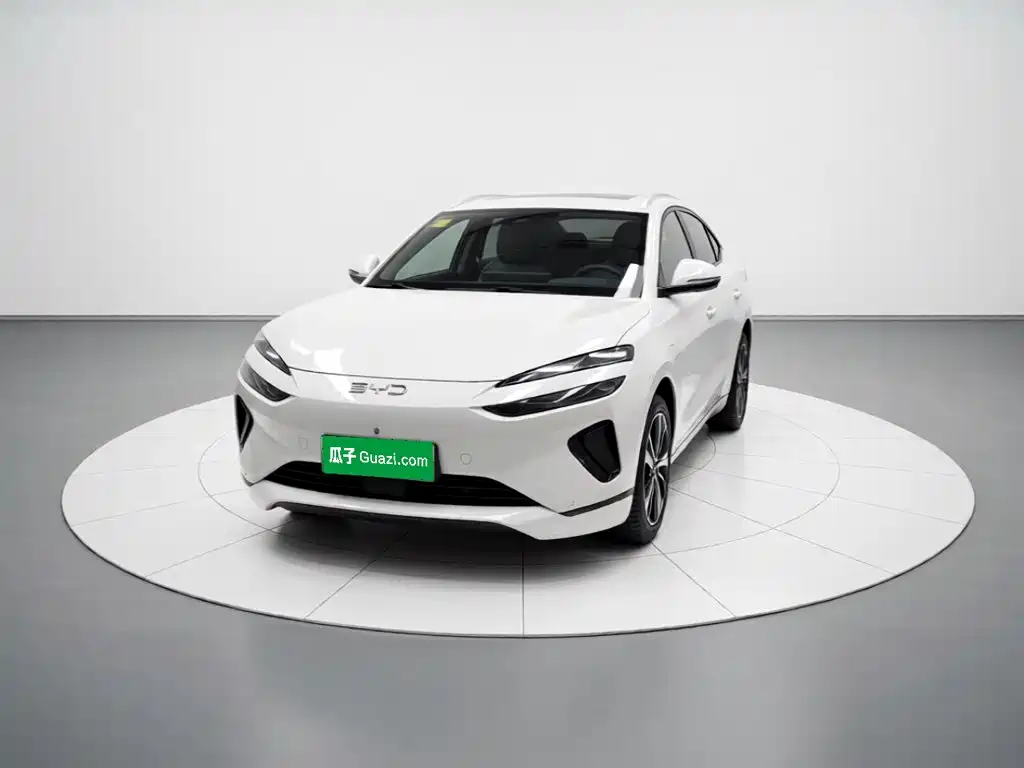 BYD Sealion 06 — миниатюра 2