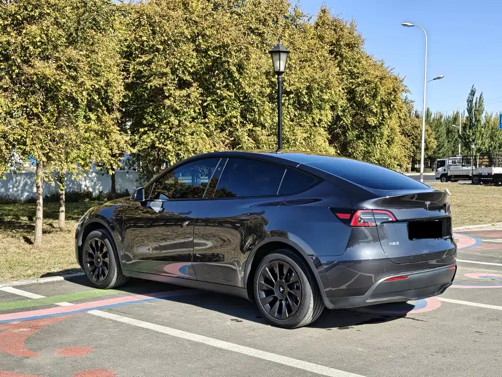 Tesla Model Y — миниатюра 4