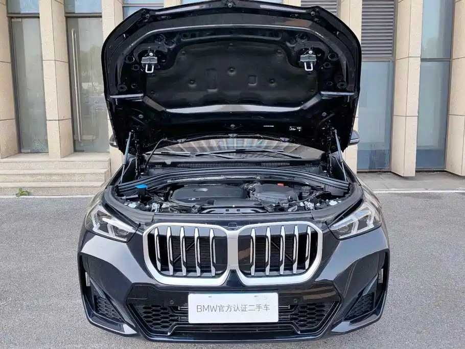 BMW X1 — миниатюра 8
