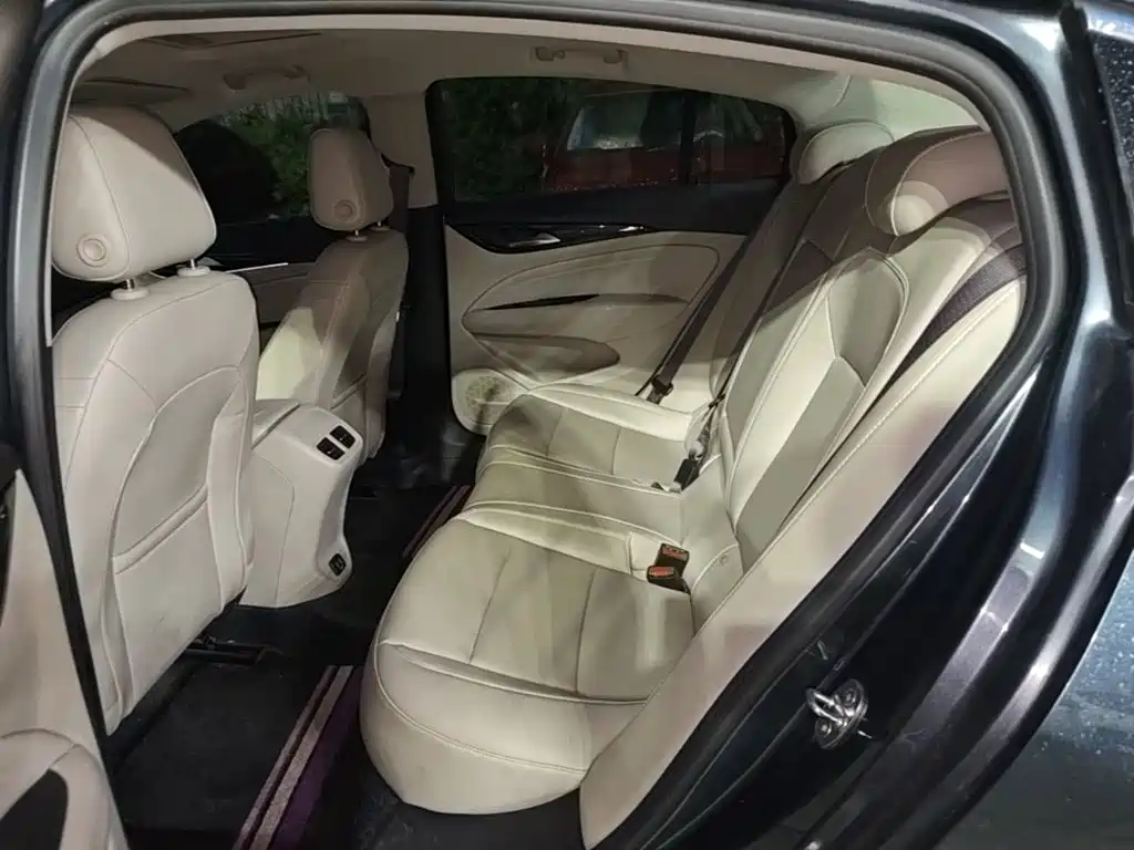 Buick Regal — миниатюра 17