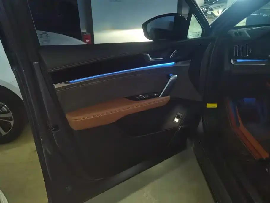 BYD Tang New Energy — миниатюра 7