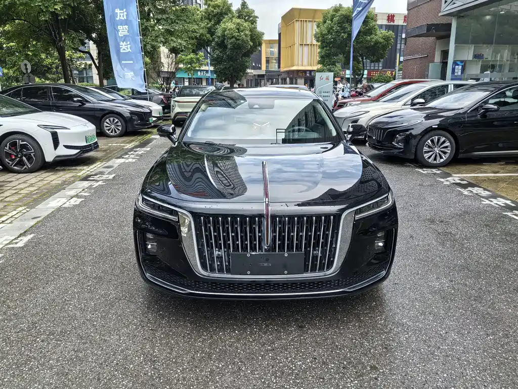 Hongqi Hongqi H9 2024