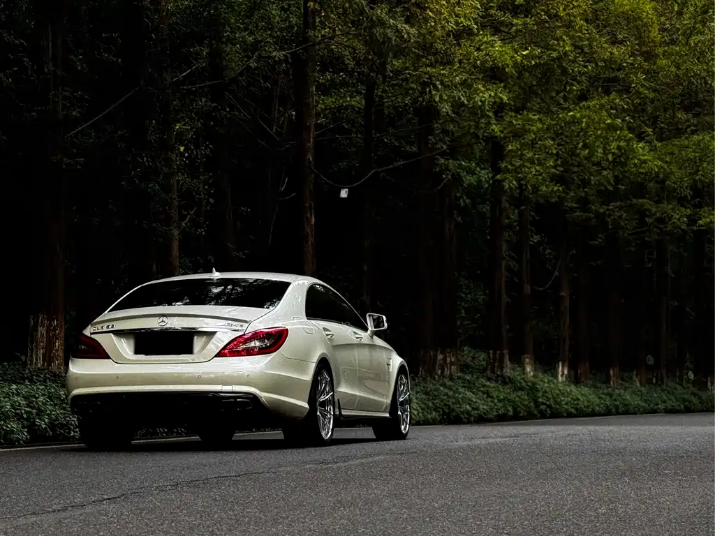 Mercedes-Benz CLS AMG — миниатюра 4