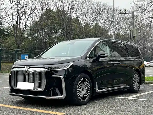 2024 Voyah Dream