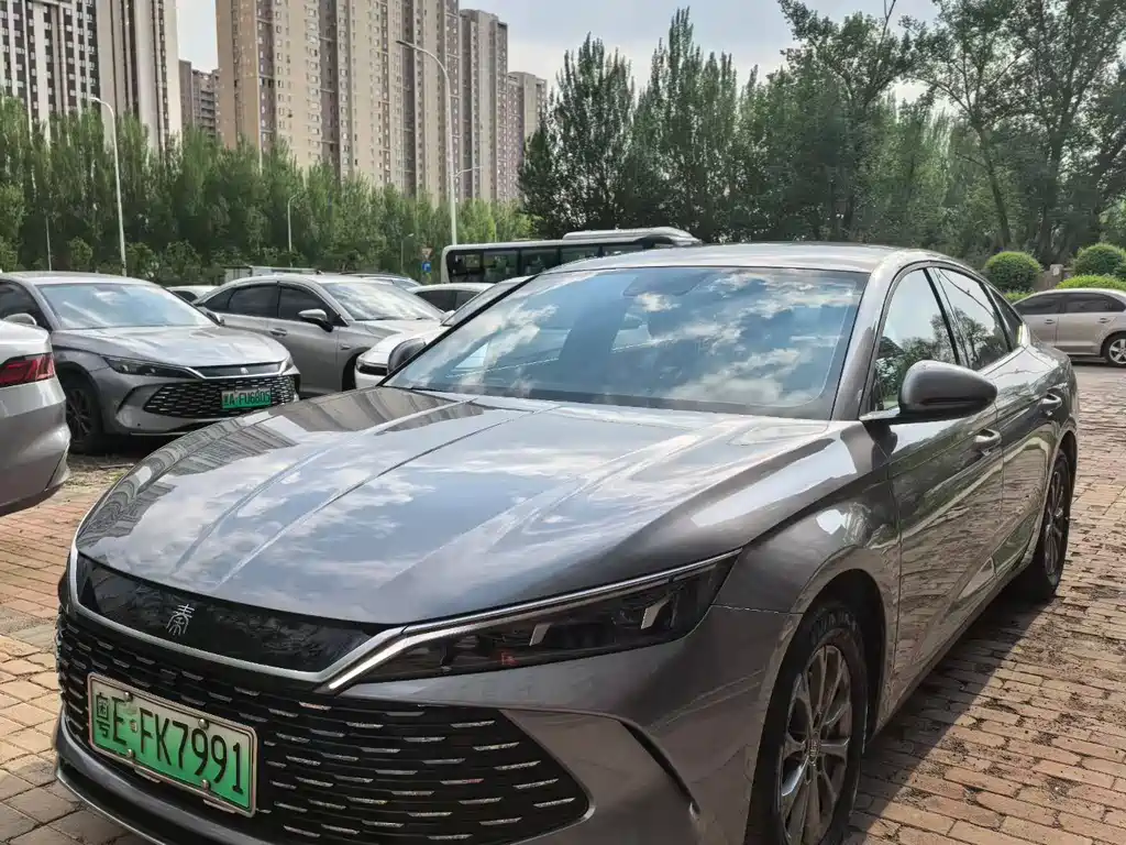 Byd Qin L 2024