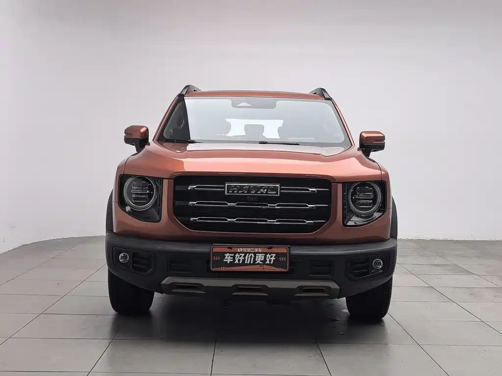 Haval Big Dog — миниатюра 3