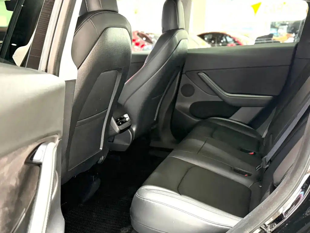 Tesla Model Y — миниатюра 9