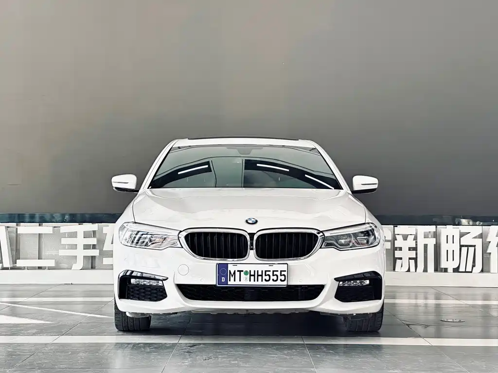 BMW 5 Series — миниатюра 2