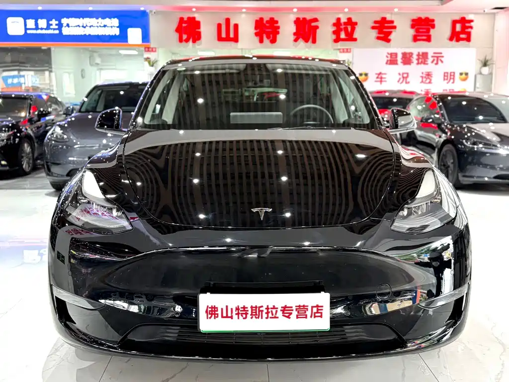 Tesla Model Y — миниатюра 5