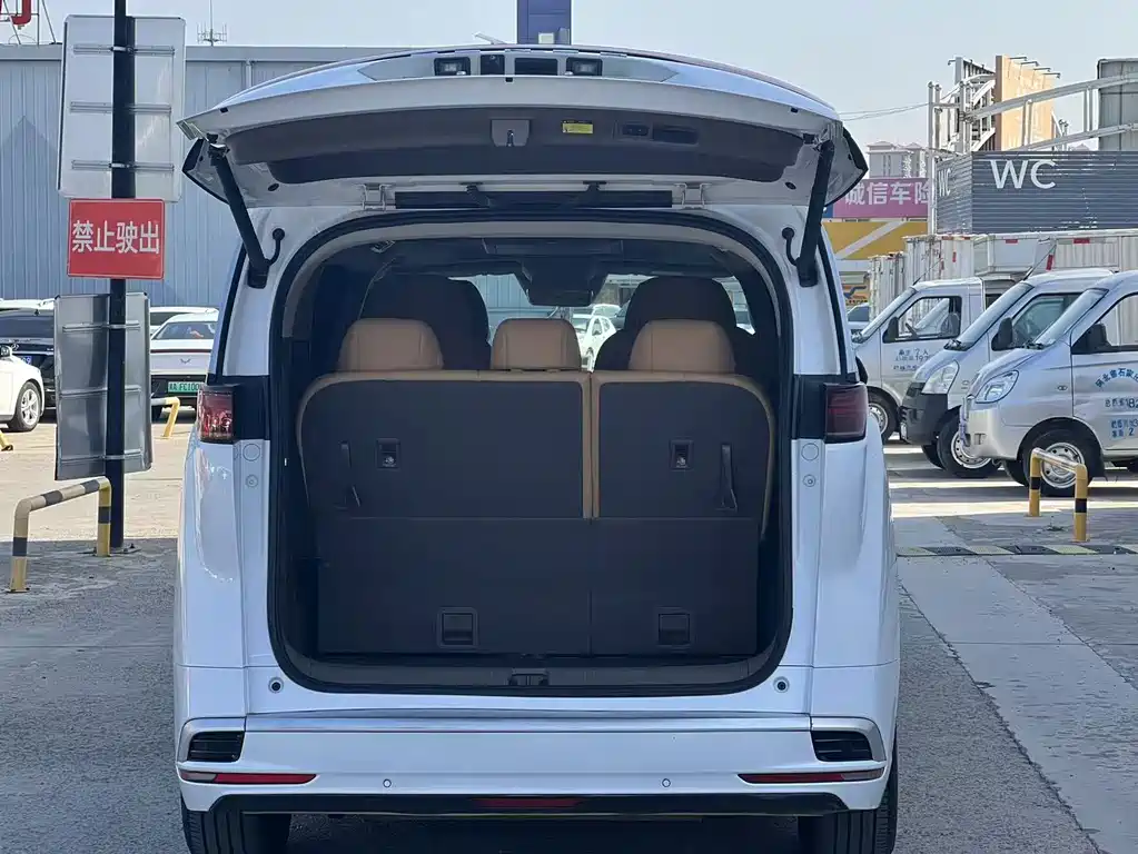 Denza Denza D9 — миниатюра 6