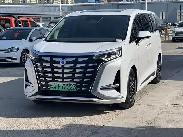 Denza D9