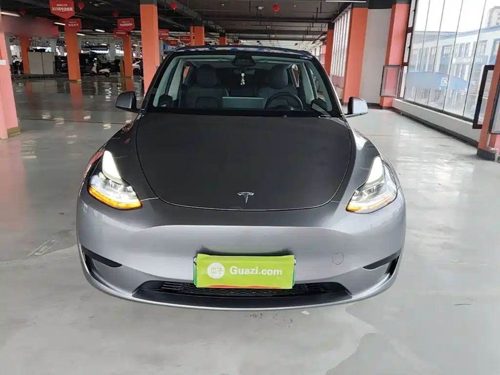 Tesla Model Y — миниатюра 3