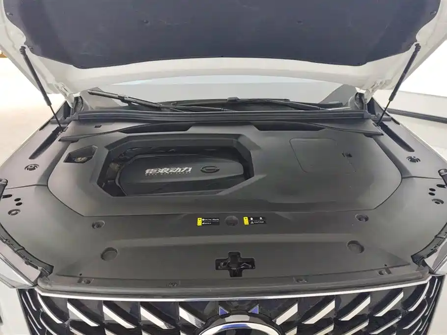 GAC GS8 2022 2.0TGDI Luxury ( мест)