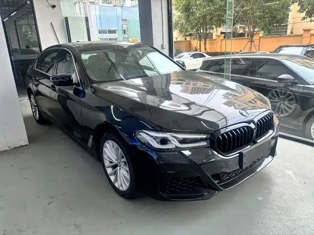 2020 BMW 5er