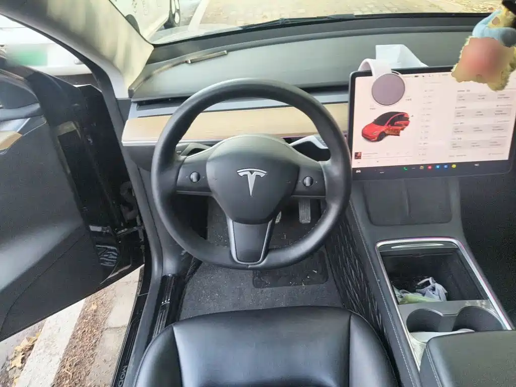 Tesla Model Y — миниатюра 11