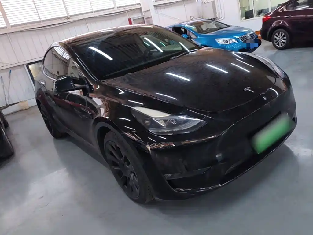 Tesla Model Y — миниатюра 4