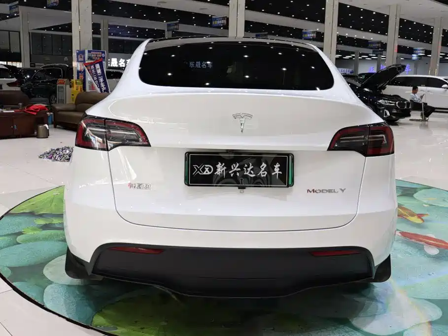 Tesla Model Y — миниатюра 5