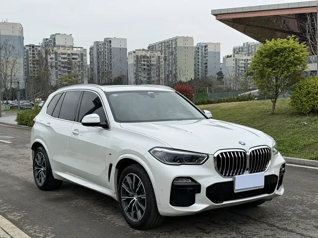 BMW X5 2019 xDrive40i M Sport