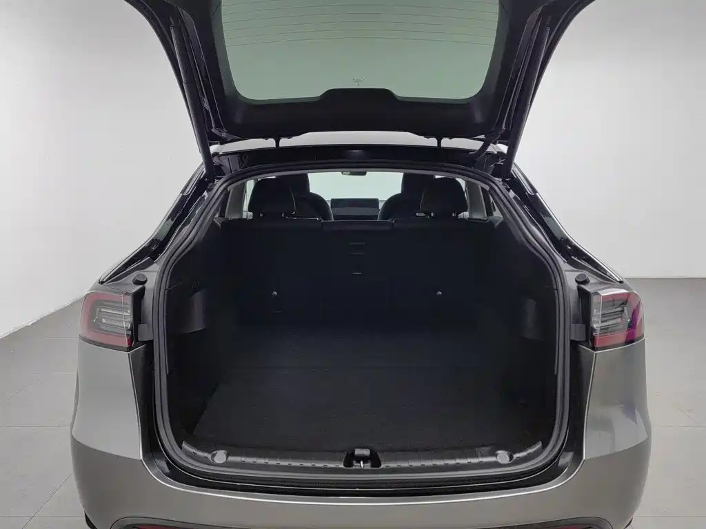 Tesla Model Y — миниатюра 16