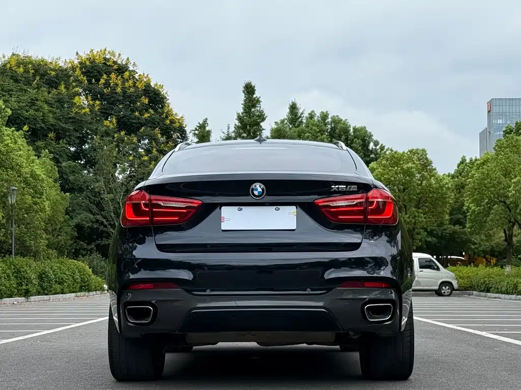 BMW X6 — миниатюра 5