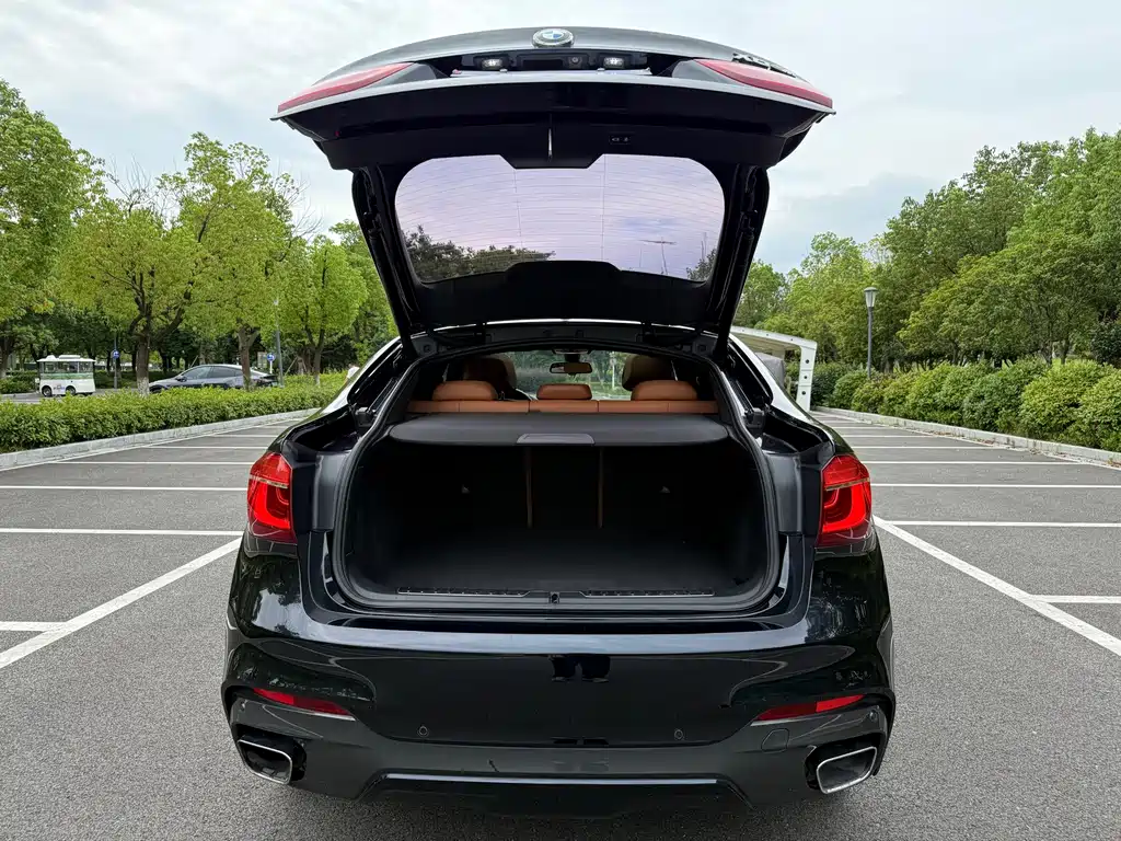 BMW X6 — миниатюра 9