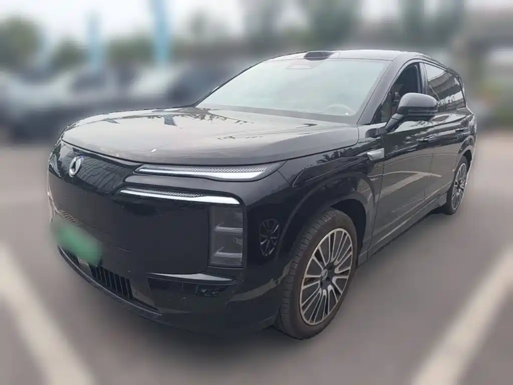 Denza Denza N8L — миниатюра 3