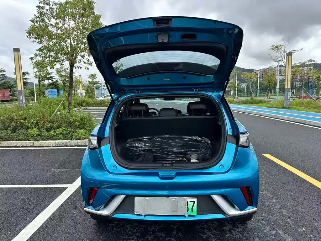 BYD Dolphin — миниатюра 17