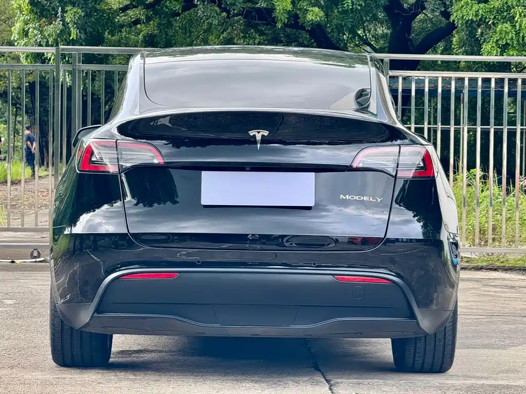Tesla Model Y — миниатюра 10