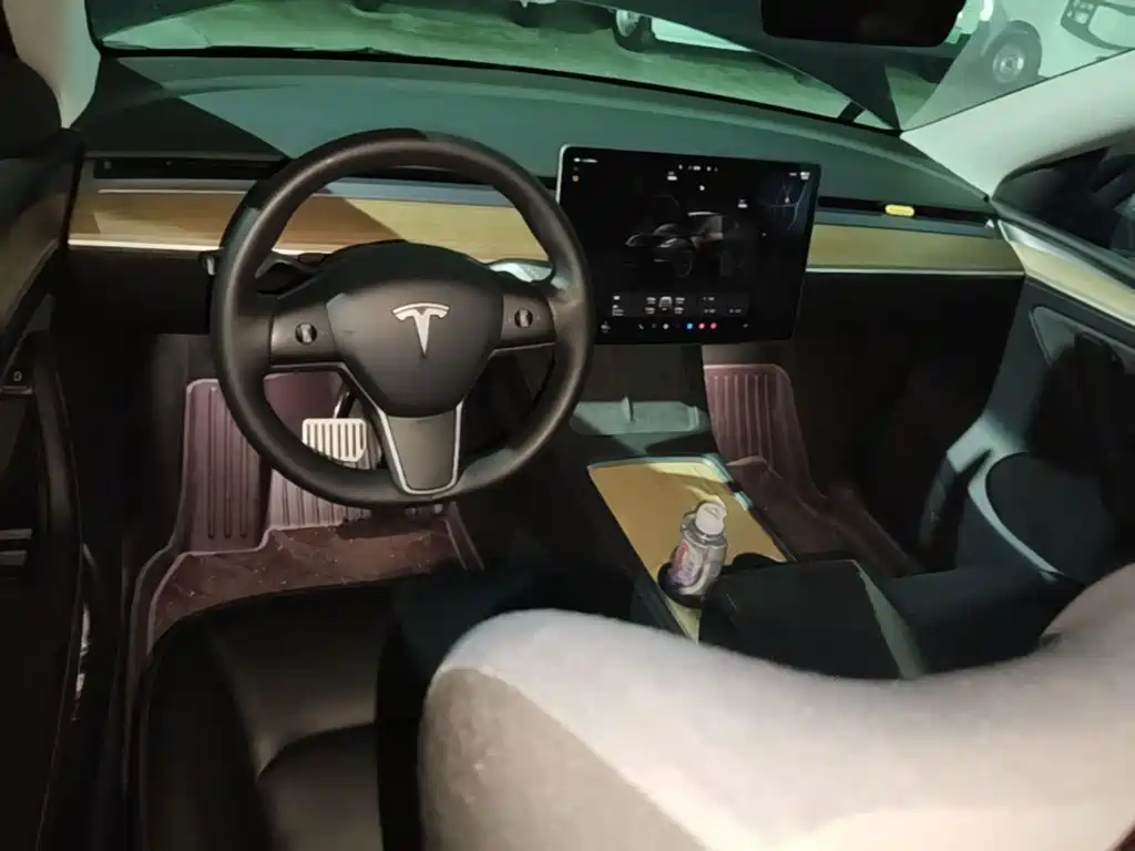 Tesla Model Y — миниатюра 10