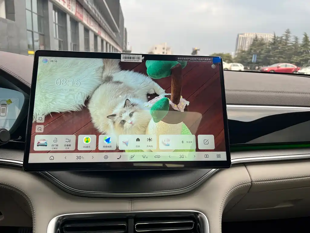 BYD SONGJIANG NEW ENERGY