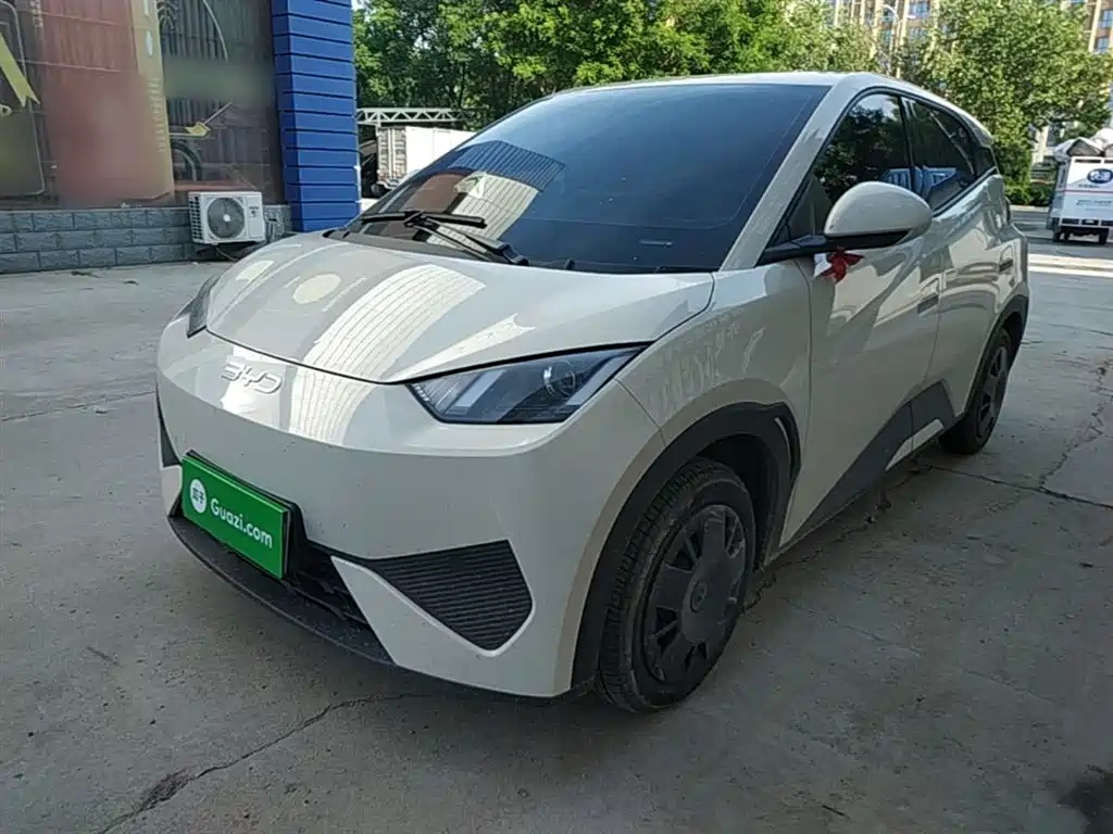 Byd Seagull 2025