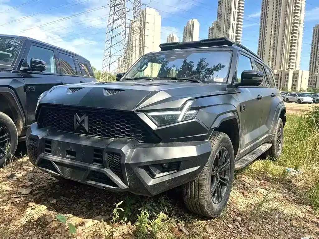 Mengshi Mengshi 917